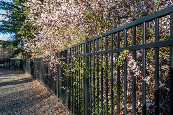 Black Metal Fence Installation Service