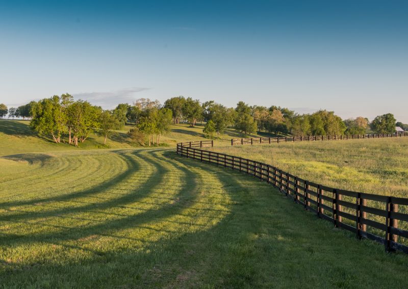 Equestrian Fence Installation